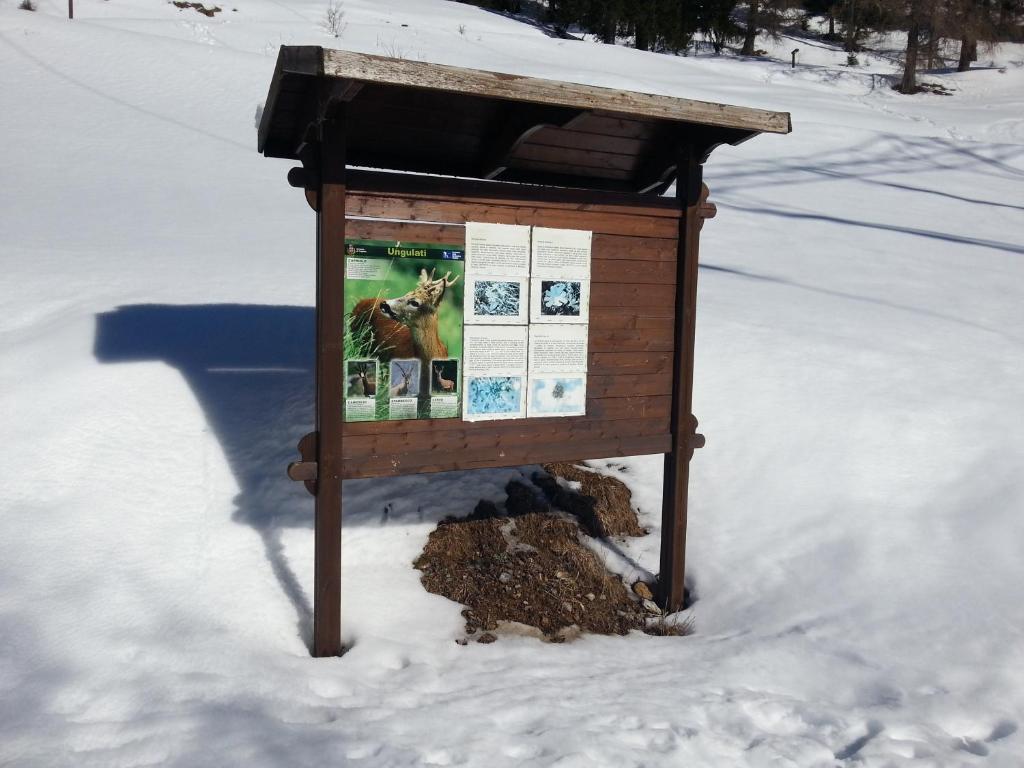 Ar Mountains Lodge Villachiara Branzi Bagian luar foto
