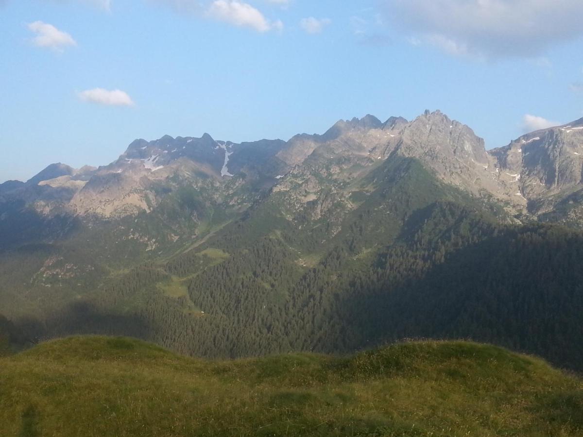 Ar Mountains Lodge Villachiara Branzi Bagian luar foto